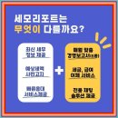 성지세무회계 이미지