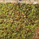 영명농장 이미지