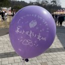 지산천막기업 | 2023년 논산딸기축제 후기 2024년 축제 정보 및 꿀팁