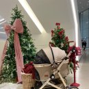 스트롤러 | ”펫신져“ 프리미엄 펫 스트롤러 유모차 강아지유모차 후기