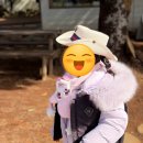 장군소프트 | 제주 아이와 가볼만한곳 목장카페 밭디 승마체험 후기 말 먹이주기까지 완벽(8살아이 재방문)