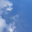 서초중앙로8길 106 이미지