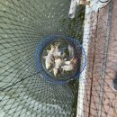 방산낚시터 이미지