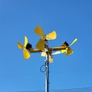 (주)에스엔 이미지