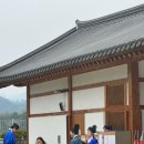 선비마을건강나라 | 영주 선비마을 축제 공략 꿀팁
