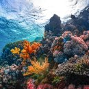 KS 행정사 사무소 이미지