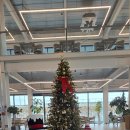 149 | [세종 특별한 카페] 가구 전시장과 함께하는 힐링 공간, "월하리149 베이커리카페" 내돈내산 후기