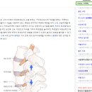 카이로 바른 척추교정 이미지