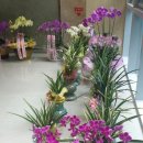 (주)경안 이미지