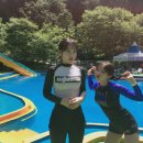 파라다이스 수영장 이미지