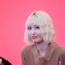 BDM 이미지