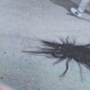바오투어 이미지