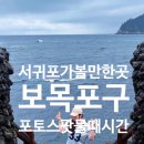 신비로-11 | 서귀포 가볼만한곳 보목포구 포토스팟 물때시간 스노쿨링 여부
