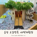 오감만족 책 탐험 | 충북 오감만족새싹체험장 음성 비오는날 아기랑 실내 가볼만한곳