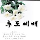 추도 티스토리