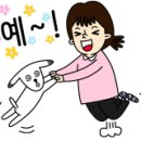 닥터k동물병원 이미지