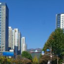 청사로 코오롱로 네이버블로그