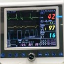 쪼꼬동물메디컬센터 이미지