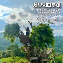 레아약국 이미지