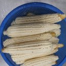 대장이랜드마을 이미지