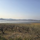 지리산쌍계한의원 이미지