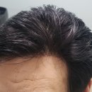 가모미모 이미지
