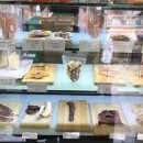 도그스푼 이미지