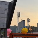 25년 5월 13일 12연승 중인 한화이글스 류현진선발 경기 신구장 대전한화생명볼파크 직관 리뷰 (주차팁)