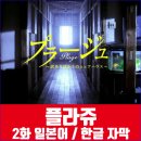 플라쥬 티스토리