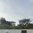 서유의섬 이미지