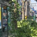 한국전력공사 버스정류장 이미지