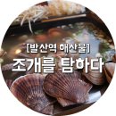 [발산역 해산물 맛집] 조개와 문어가 통으로 들어간 샤브샤브 : 조개를 탐하다