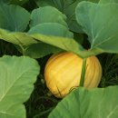 연천승마공원 이미지