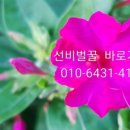 소백산농부들
