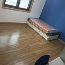 조치원_고려대학교 정문 이미지