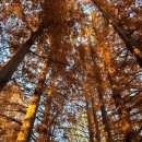 안담농장 이미지