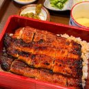 혼밥혼술하을빈 | 역삼동맛집 치솟 직장인 일식 맛집 히츠마부시 장어덮밥 혼밥 후기