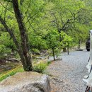 은하수 관광농원 이미지