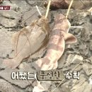 상어PC 이미지