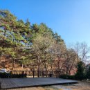 스탈릿캠핑펜션 | [스탈릿 캠핑펜션] 강원도 평창 소규모 프라이빗 캠핑장 2박3일후기 첫째날