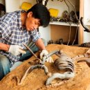 반쪽이 상상력 박물관전 이미지