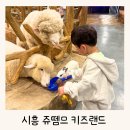 동물원주유소 개방화장실 | 시흥 실내 동물원 쥬뗌므 키즈랜드 4살 아이가 좋아했던 후기, 요금 주차 정보