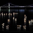 세븐일레븐 수영구청점 이미지