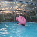 웰컴펠리스 이미지