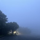 한라산약국 이미지