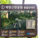 계양(근린)공원(계양공원관리) 이미지