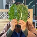 제주온담샤브아라점; 직접기른야채 무한리필 샐러드바 제주아라동맛집