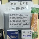 황박사 - 양주시 | 황박사 목포쫀디기 후기｜가격·종류 정리