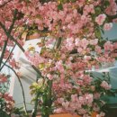 나비온한의원 이미지