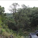 상이암부도 이미지